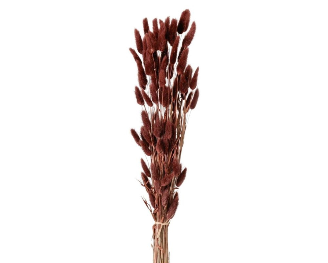 Dekozweig Samtgras, ca. 60 cm - rot - 1