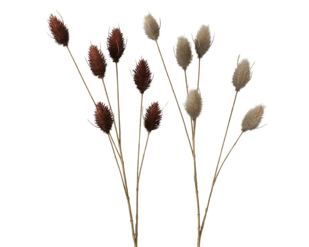Dekozweige „Samtgras“, ca. 60-72 cm. - rotbraun, breige - 1