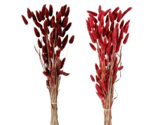 Dekozweig Samtgras, ca. 60cm - rot - 1