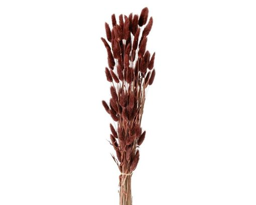 Dekozweig Samtgras, ca. 60 cm - rot - 1