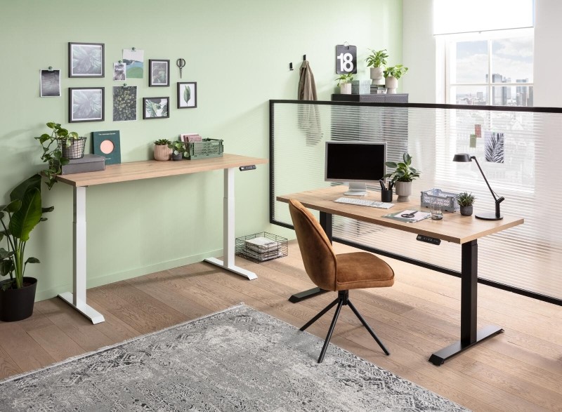 Modernes Arbeitszimmer mit Schreibtisch, Stuhl, Pflanzen und hellem Holzboden.