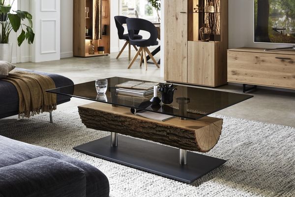 Couchtisch mit Baumstammsegment und Glasplatte der Marke Hartmann