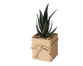 Kunstpflanze "Deseana", ca. 17 cm hoch