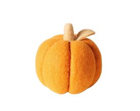 Kürbis "Tikva", orange, klein