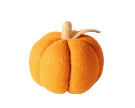 Kürbis "Tikva", orange, mittel