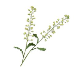 Trendhopper Kunstblume Primula, grün