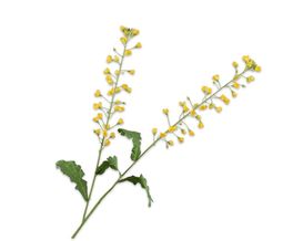 Trendhopper Kunstblume Primula, gelb