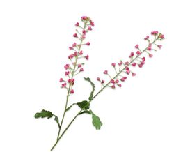 Trendhopper Kunstblume Primula, pink