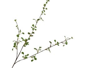 Trendhopper Kunstzweig, grün, ca. 88 cm