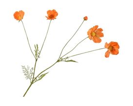 Trendhopper Kunstzweig, orange, ca. 92 cm