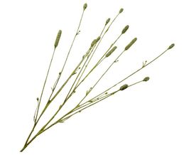 Trendhopper Kunstzweig "Pimpernel", grün, ca. 84 cm