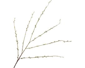 Kunstzweig "Willow", grün, ca. 111 cm