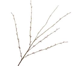 Trendhopper Kunstzweig "Willow", pink, ca. 111 cm hoch