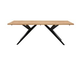 Interliving Design-Baumtisch 5118