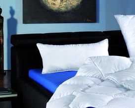 Kissen Kansas 40x80 cm