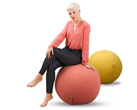 Sitzball Manchester lachs