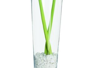 Vase konisch 50 029556