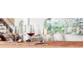 Kelchglasset "Paladino", 12-teilig