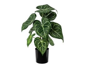 Kunstpflanze, Anthurie im Topf, ca. 37 cm hoch