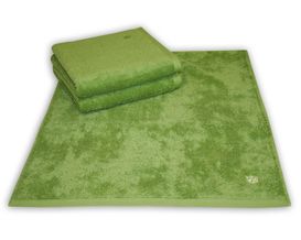 Handtuch Kiwi 4004-31-50/100