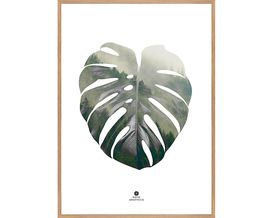 Kunstdruck Monstera mit Holzrahmen