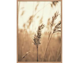 Posterboard, ca. 50x70 cm