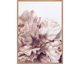 Posterboard "Sigma", ca. 50x70 cm