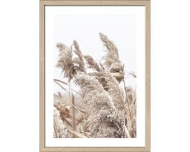 Kunstdruck "In the Breeze VI" ca. 55x75 cm