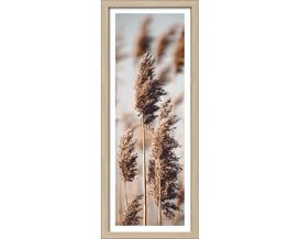 Kunstdruck "Dried Fiber II" ca. 35x85 cm