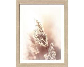 Kunstdruck "Dried Fiber" ca. 35x45 cm