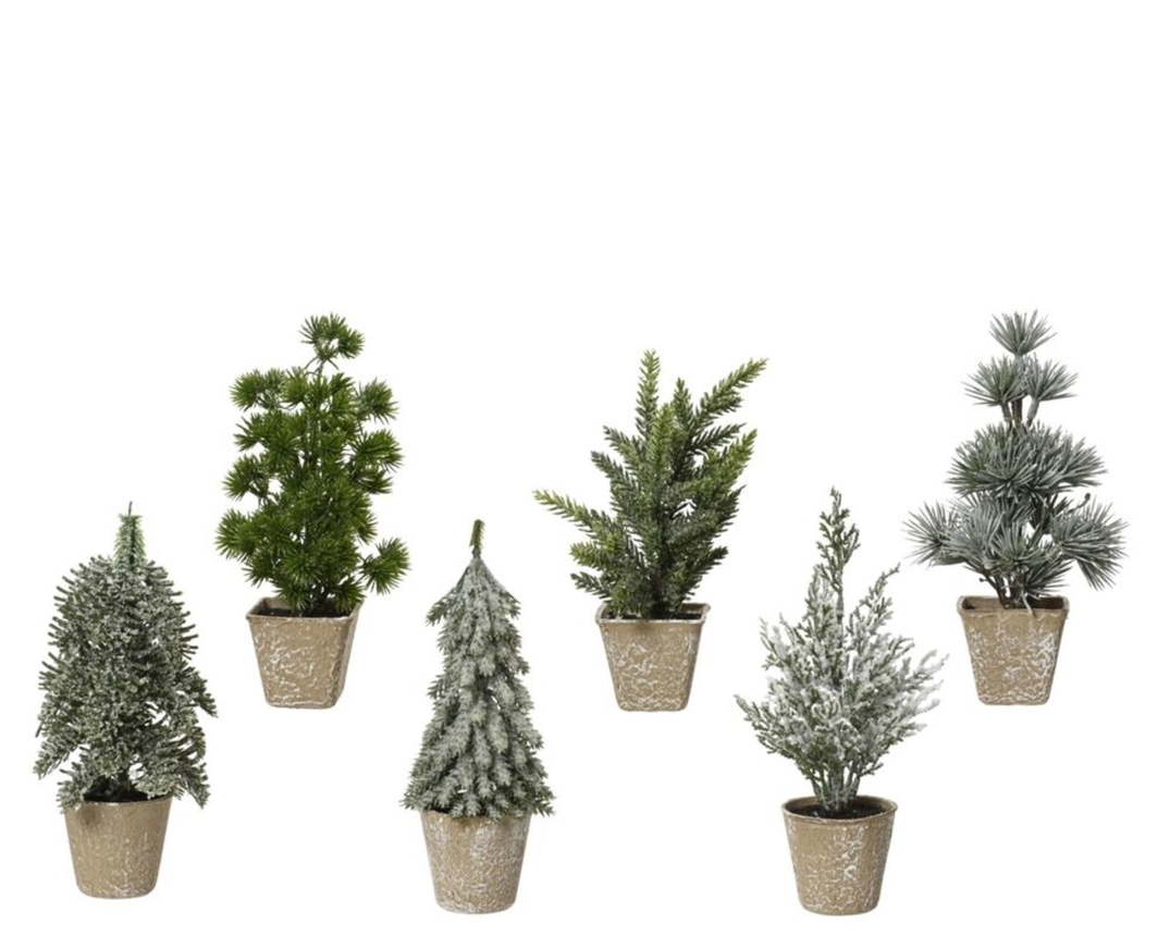Mini-Baum indoor, ca. 20 cm - Grün/Braun - 1