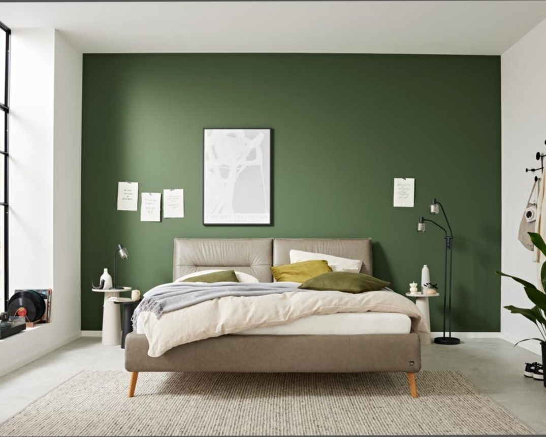 Interliving Polsterbett 1417, Lederbezug - Fango - 1