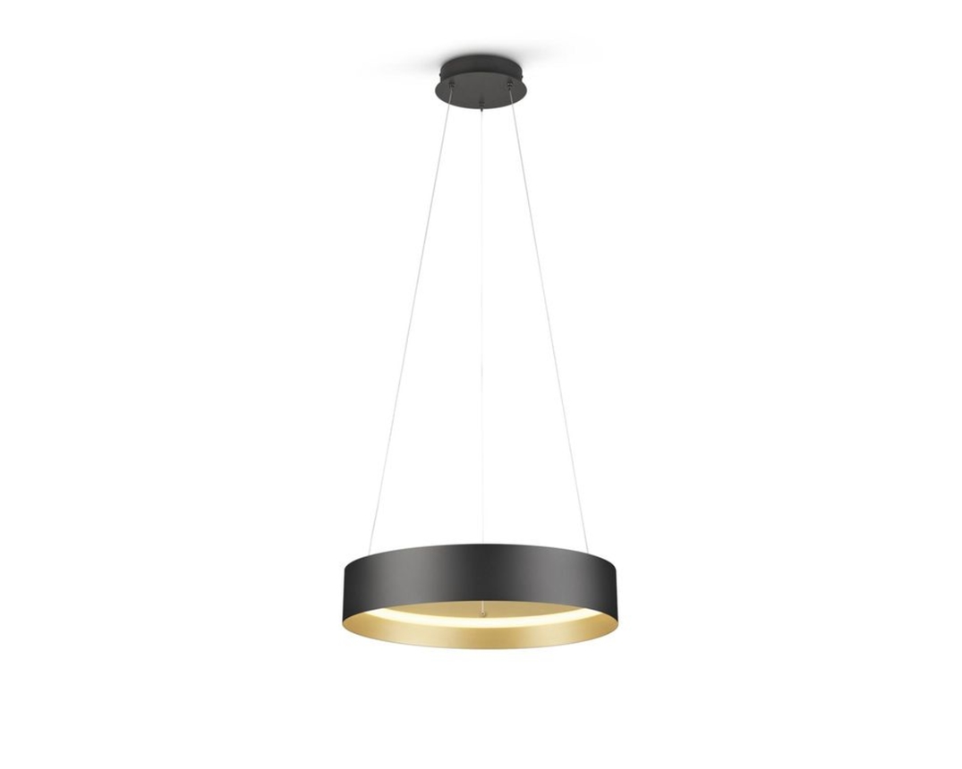 Musterring LED-Pendelleuchte "Loop", Up-and-Down-Beleuchtung - Schwarz/Gold - 2