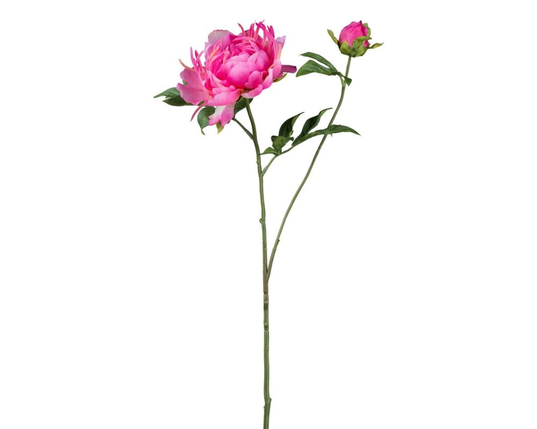 Peonie aus Kunststoff, rosa - Rosa - 1