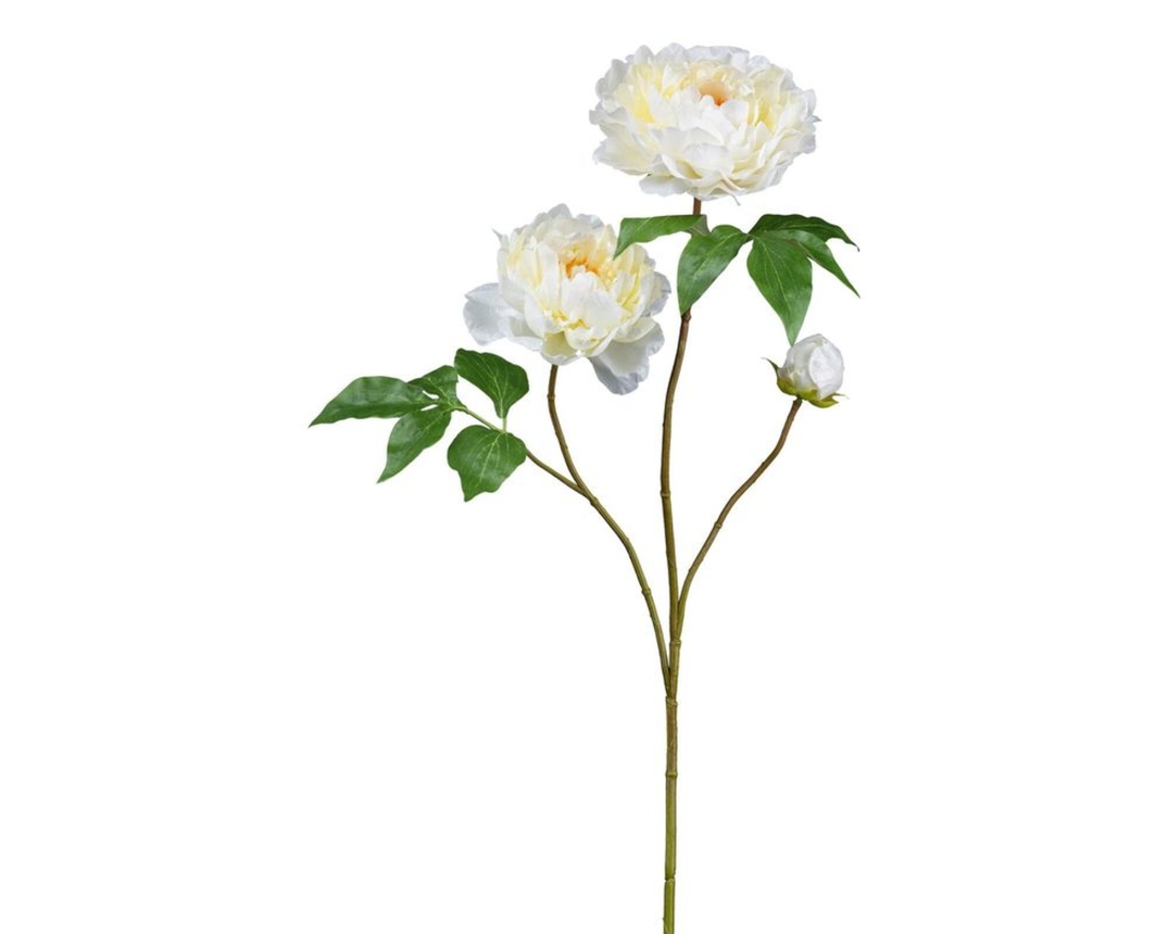 Peonie aus Kunststoff, cremefarben - Creme - 1