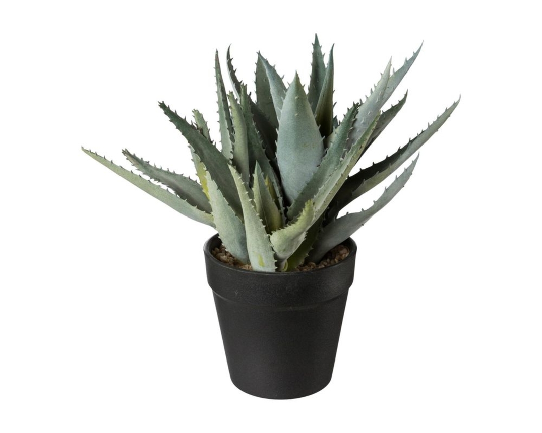 Kunstblume „Aloe“ im Kunststofftopf, H ca. 23 cm - grün - 1