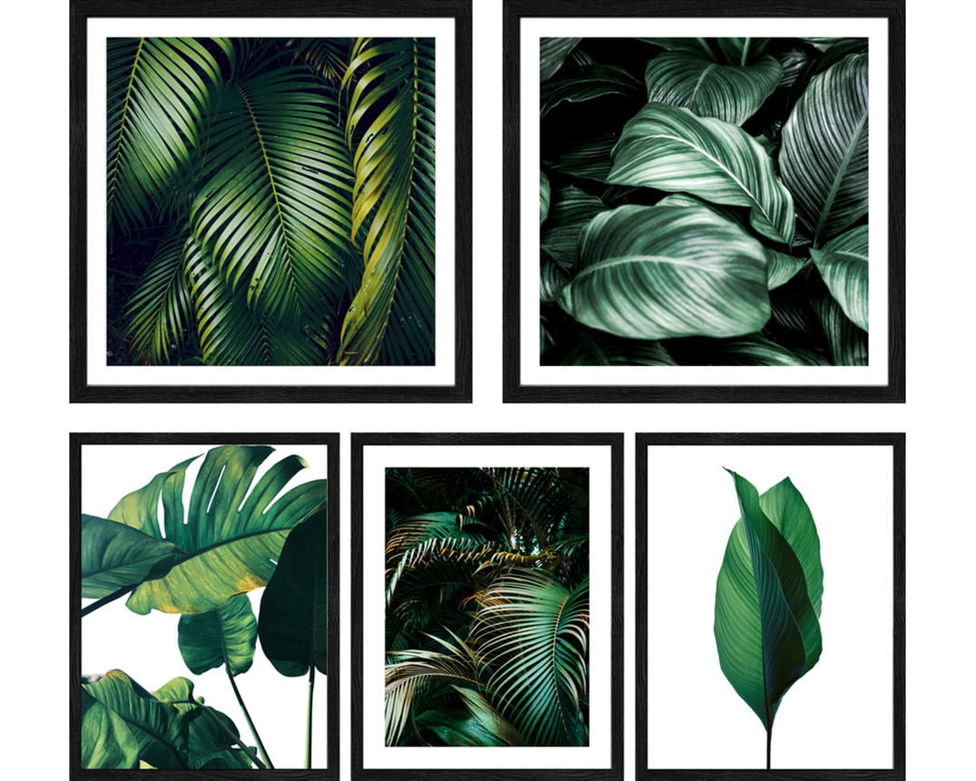 Kunstdruck 5-er Set "Jungle Leaves" - Grün - 1