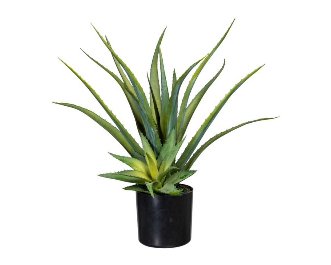 Deko-Aloe im Topf, ca. 48 cm - Grün - 1