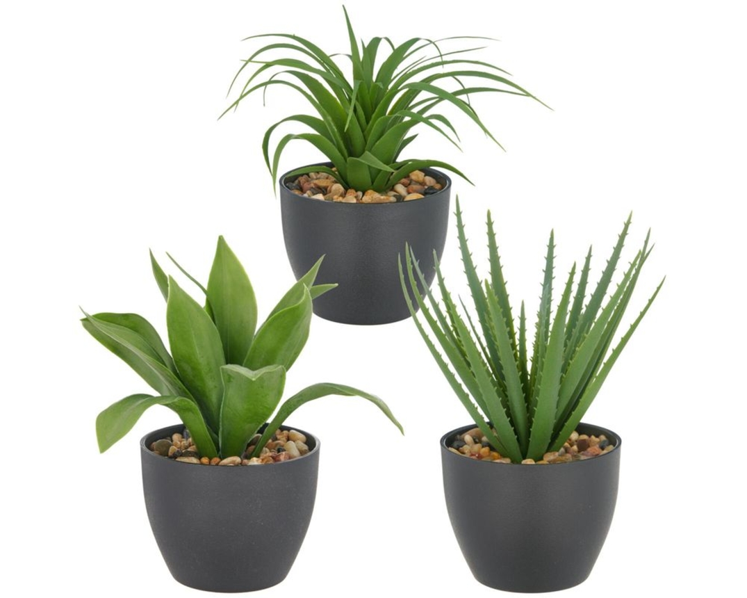 Deko-Sukkulente, ca. 20 cm - Grün - 1