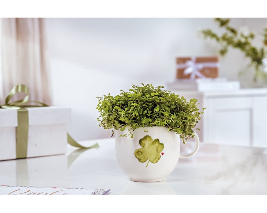 Villeroy & Boch Becher "With Love" mit Henkel - Weiß - 2