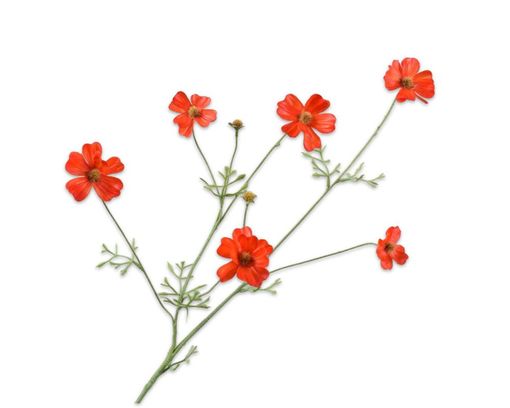 Trendhopper Kunstblume Cosmos, orange/rot - Orange/Rot - 1