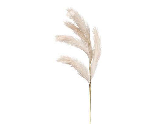 Reedgras, beige - Beige - 1