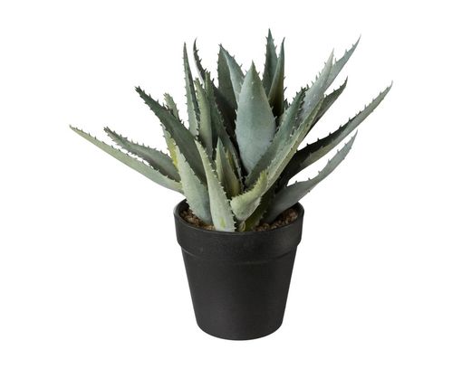 Kunstblume „Aloe“ im Kunststofftopf, H ca. 23 cm - grün - 1