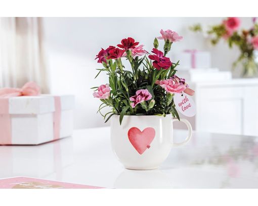 Villeroy & Boch Becher "With Love" mit Henkel - Weiß - 2