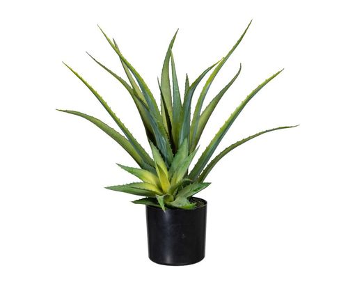 Deko-Aloe im Topf, ca. 48 cm - Grün - 1
