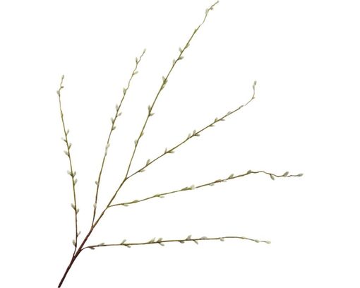 Kunstzweig "Willow", grün, ca. 111 cm - Grün - 1