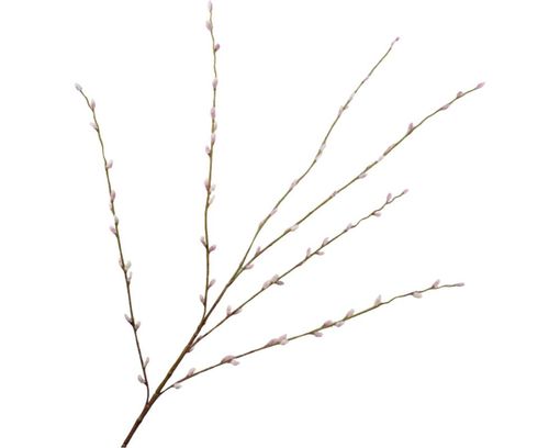 Trendhopper Kunstzweig "Willow", pink, ca. 111 cm hoch - Pink - 1