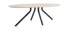 XOOON Arvada, Tisch 250 x 110 cm. - Ellipse - zentralem Fuß lang - Beige, Braun - 2