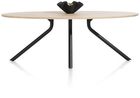 XOOON Arvada, Tisch 250 x 110 cm. - Ellipse - zentralem Fuß lang - Beige, Braun - 3