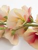 Coco Maison Alcea Spray Kunstblume H105cm - Gruen, Pink, Orange - 2
